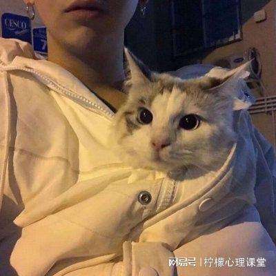 百战封神红包版下载