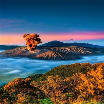 精灵新世代九游下载